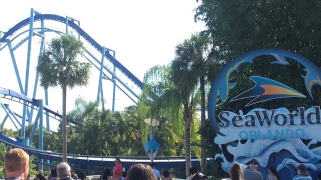 What Could Save SeaWorld?