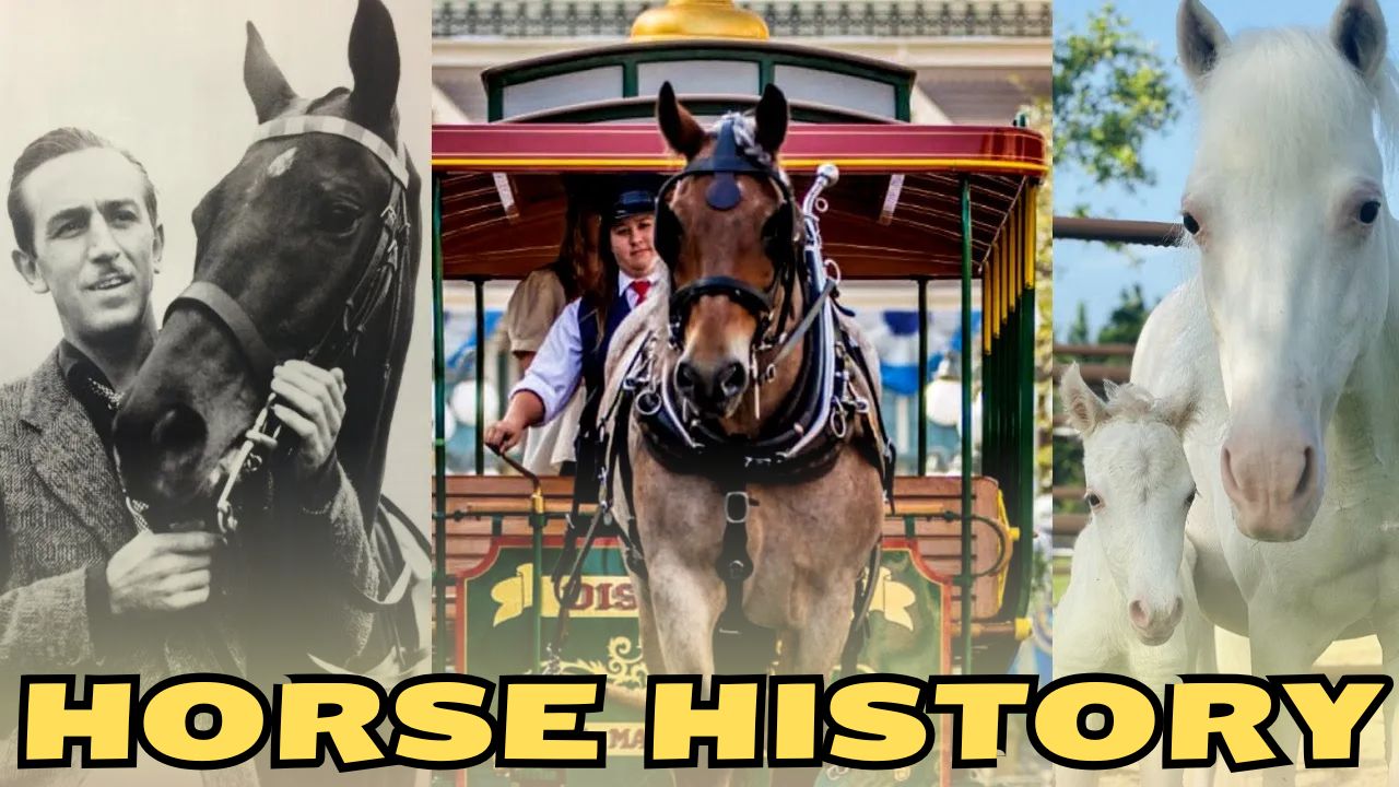 Disney Parks Horse History